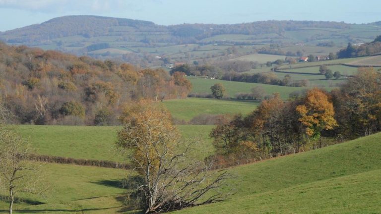 Camping Domaine du Bourg landschap 768x432