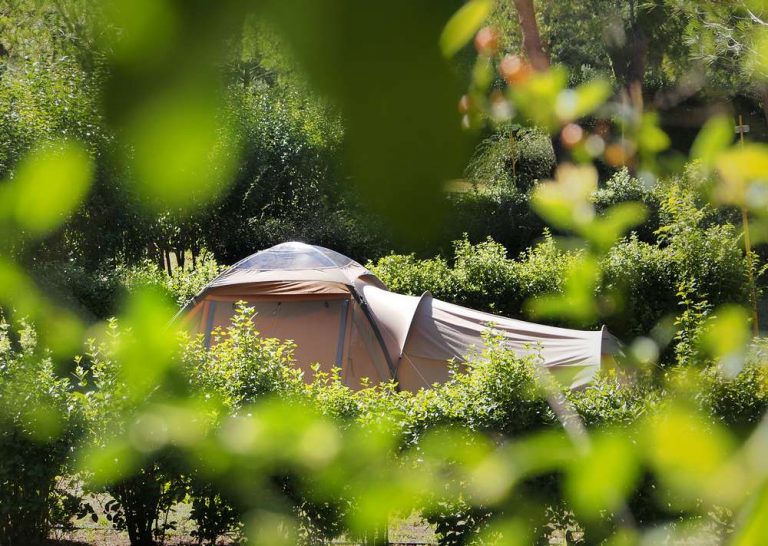 Camping Fontvieille kampeerplaats 768x546