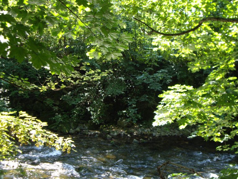 Camping Le Parc De La Fecht rivier 768x576