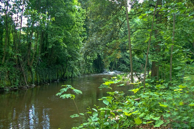 Camping Le Parc De La Fecht rivier La Fecht 768x512