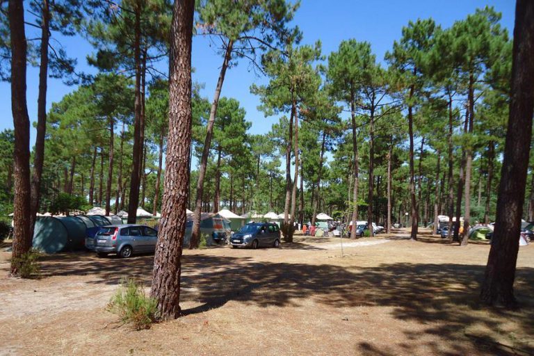 Camping Médoc Plage staanplaatsen 768x512