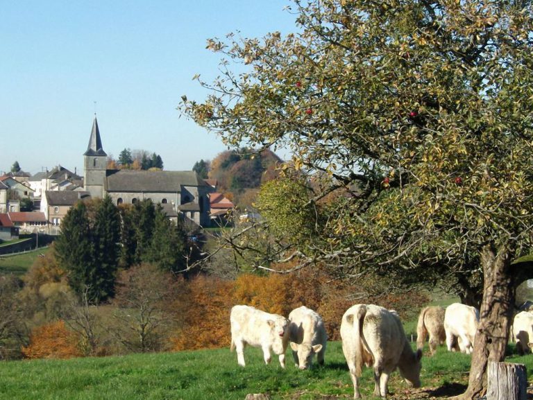 Camping Fraiteux omgeving 768x577