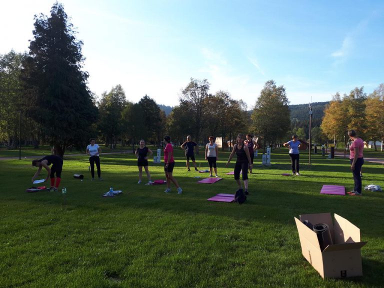 Camping Le Domaine de Longemer fitness 768x576