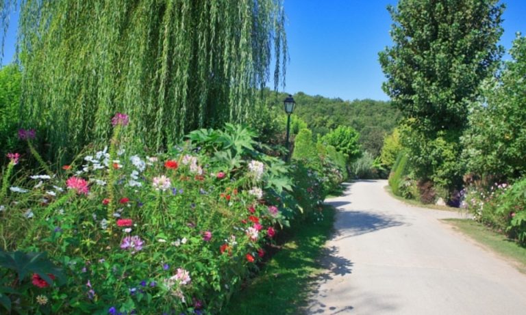 Camping Le Paradis park 768x461