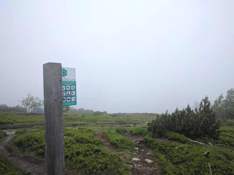 Wandeling Lac Blanc Vogezen Gazon du Faing GR5 768x576