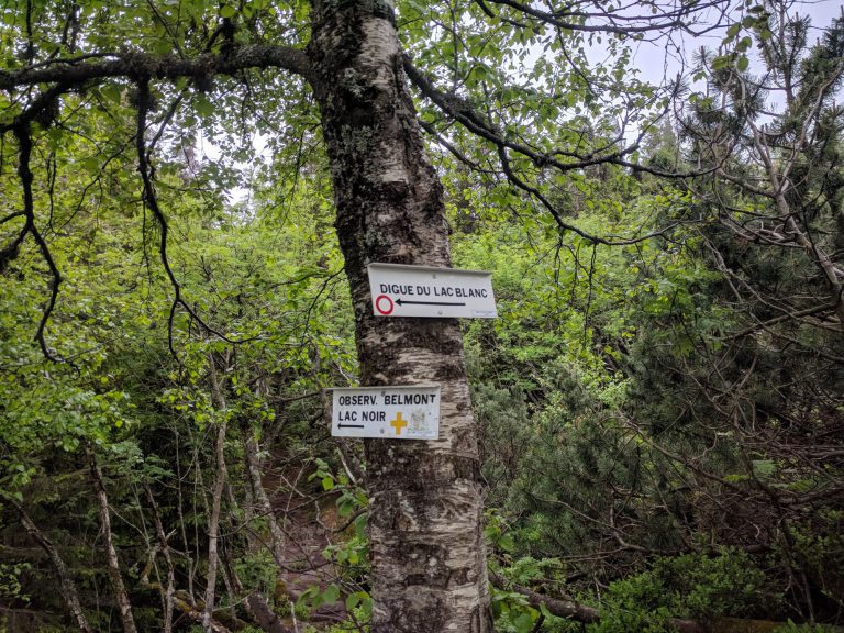 Wandeling Lac Blanc Vogezen afslag Lac Noir 768x576