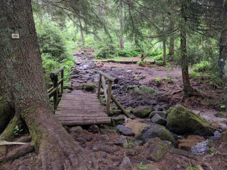 Wandeling Lac Blanc Vogezen bruggetje 768x576