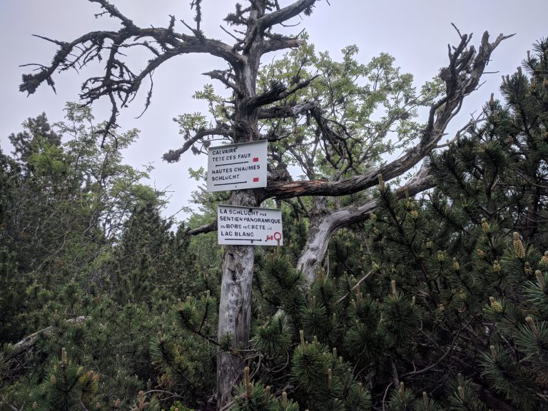 Wandeling Lac Blanc Vogezen na Gazon du Faing 768x576