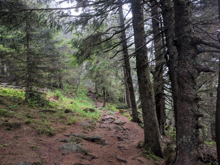 Wandeling Lac Blanc Vogezen pad 768x576