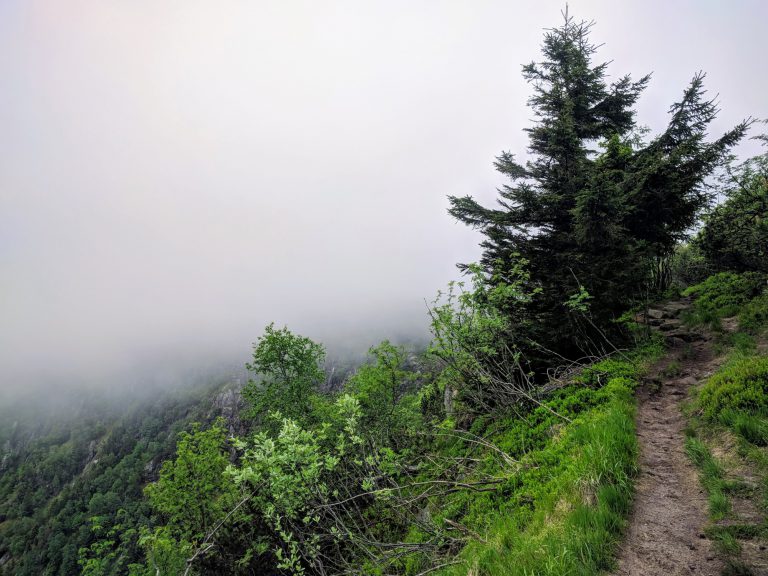 Wandeling Lac Blanc Vogezen richting Gazon du Faing 768x576