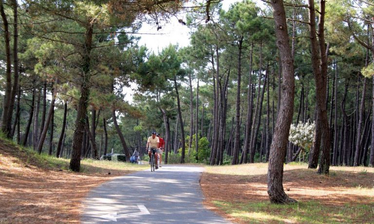 Camping Atlantique Parc fiets verhuur 768x461