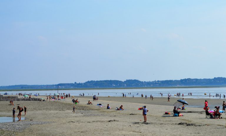 Camping Domaine de la Roselière strand 768x461