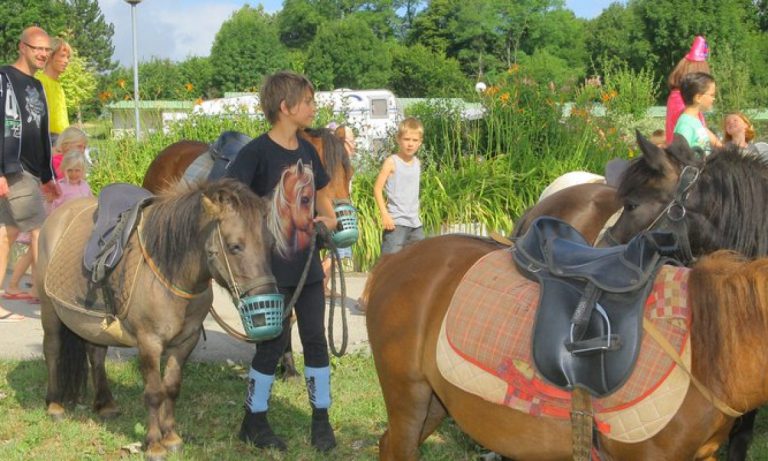 Camping Du Bois de Reveuge ponyrijden 768x461