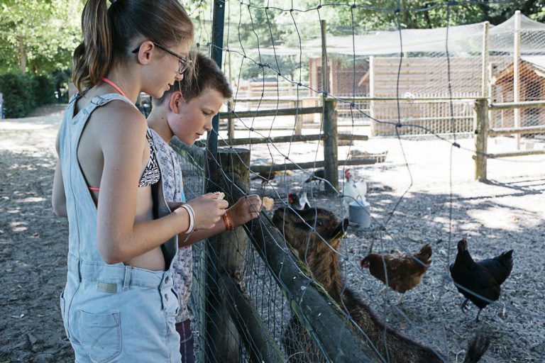 Camping La Pinède Palmyre kinderboederij 768x512