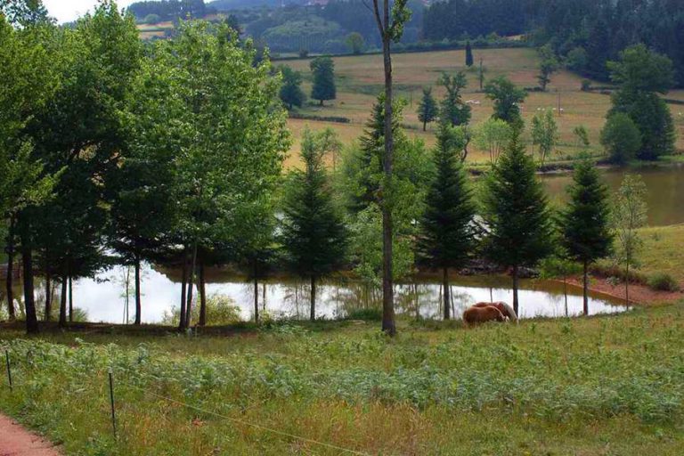 Camping Le Château de Montrouant meer 768x512