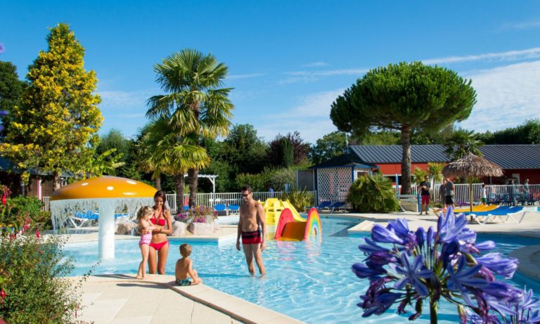 Camping Le P tit Bois zwembad 768x461
