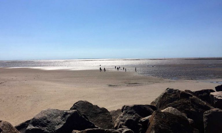 Camping Les Ecureuils zee 768x461