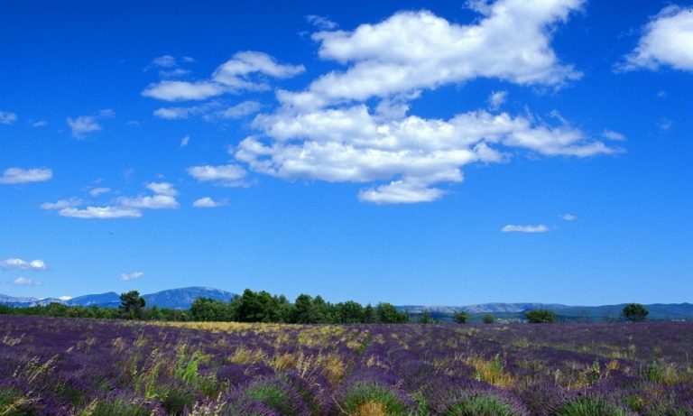 Camping Les Lacs du Verdon omgeving 768x461