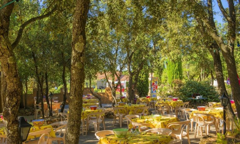 Camping Les Lacs du Verdon terras 768x461