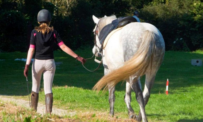 Camping Les Mouettes Bretagne paardrijden 768x461