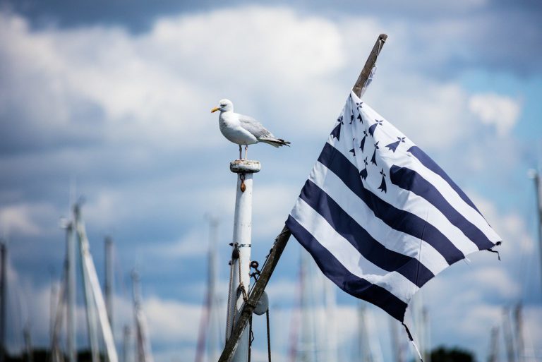 Camping les Menhirs 768x513