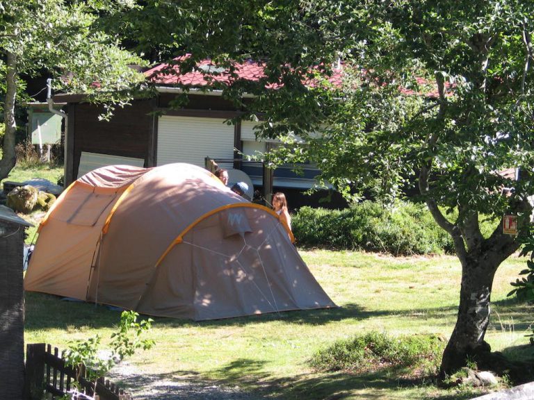 Camping Auberge les Myrtilles staanplaats 768x576
