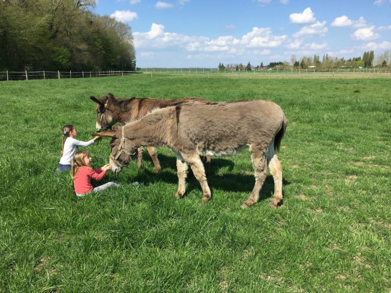 Camping Ferme de Prunay ezelrijden 768x576