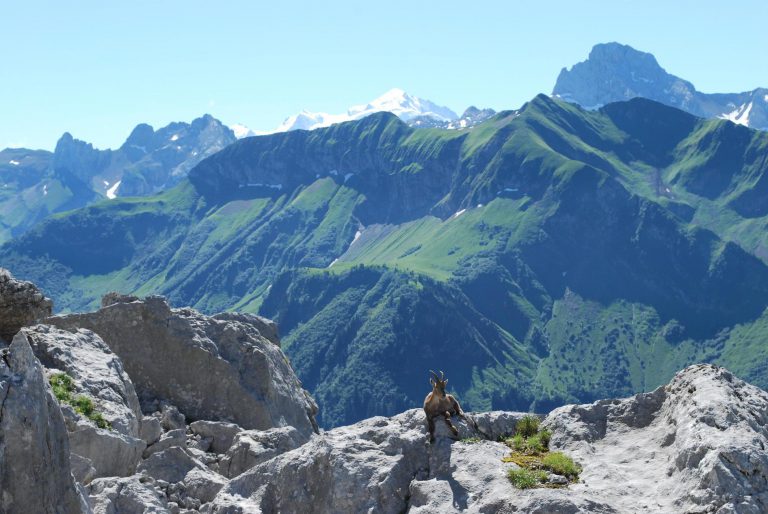 Camping L Escale omgeving 768x514