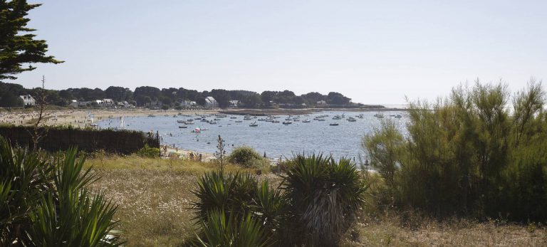 Camping Le Château Du Petit Bois strand 768x347