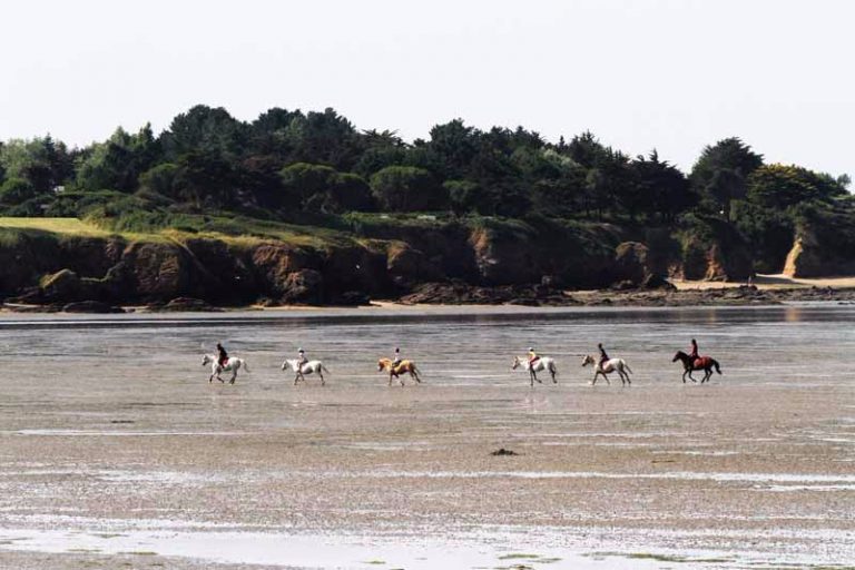 Camping Moulin De L eclis paardrijden 768x512