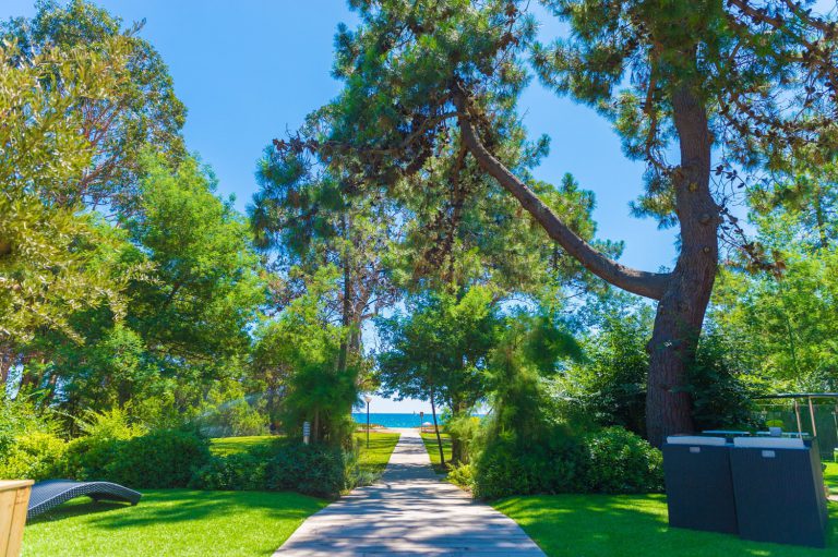 Camping Perla Di Mare Corsica pad naar strand 768x511