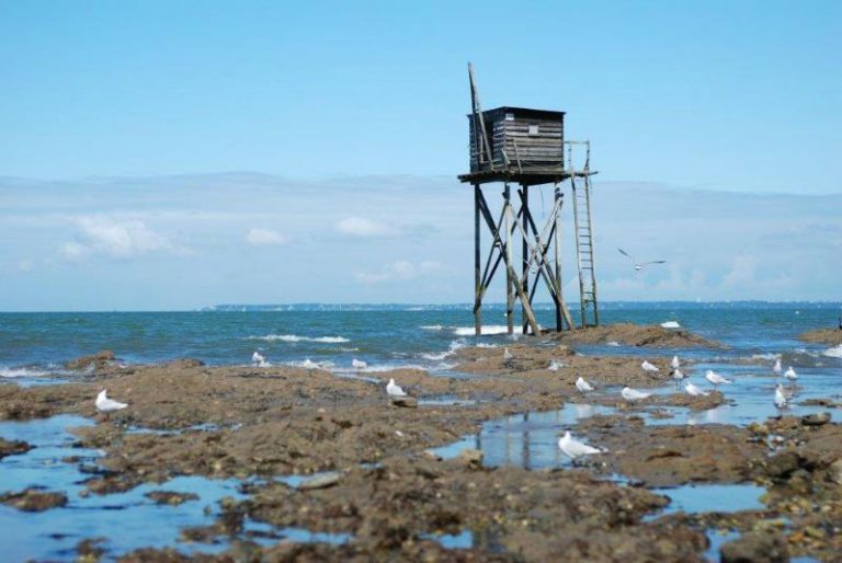 Camping du Vieux Château Tharon Plage Bretonsekust 768x514
