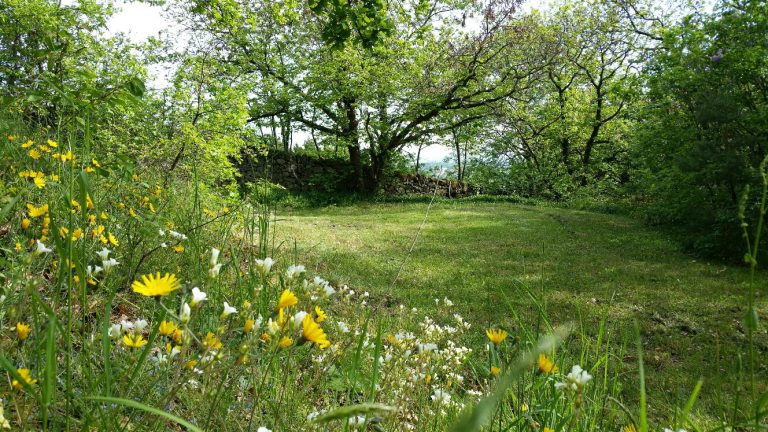 Camping Aire Naturelle de Les Cerisiers grote staanplaats 768x432