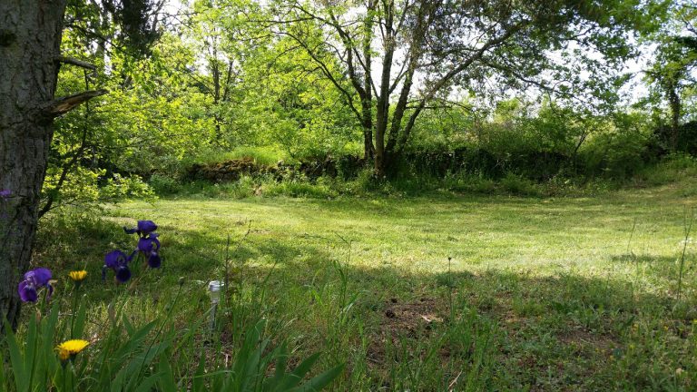 Camping Aire Naturelle de Les Cerisiers staanplaatsen 768x432