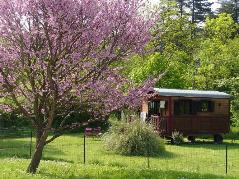 Camping Domaine Provençal Pipowagen huren 768x576