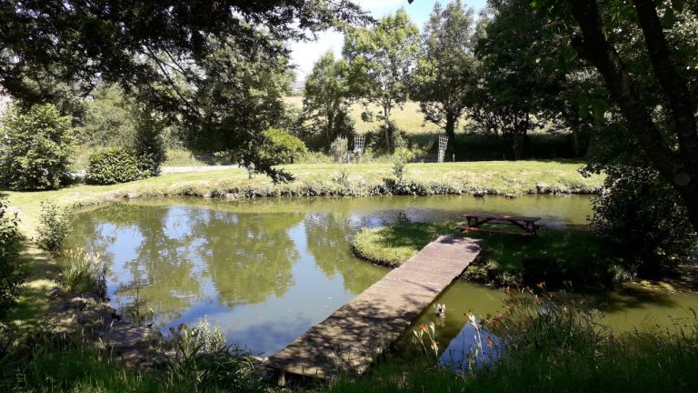 Camping Le Picard vijver 768x432