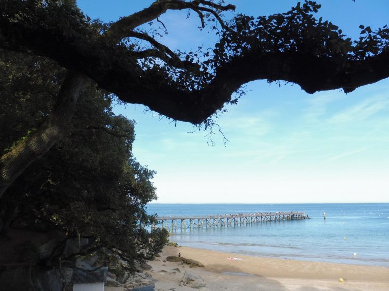 Camping RCN la Ferme du Latois zee 768x576