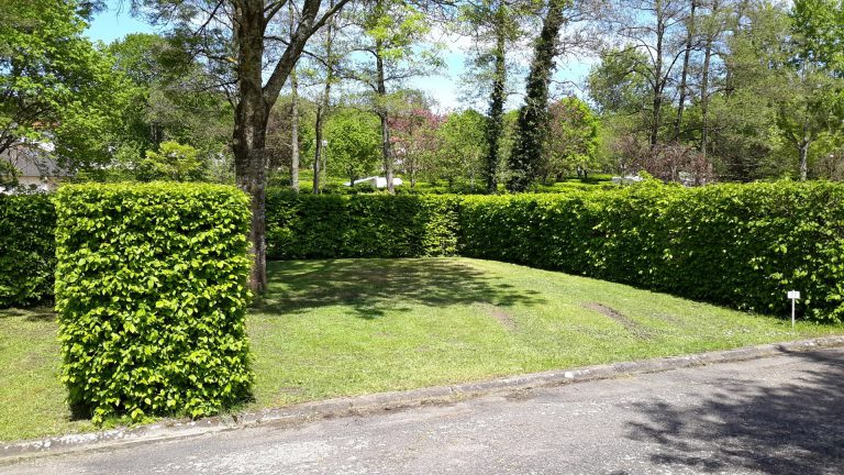 Camping de Vittel staanplaatsen 768x432