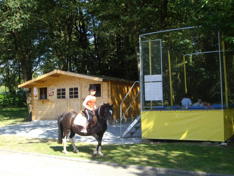 Camping du Haras ponyrijden 768x576