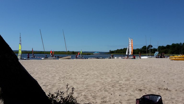 Camping l Arbre d or strand 768x432