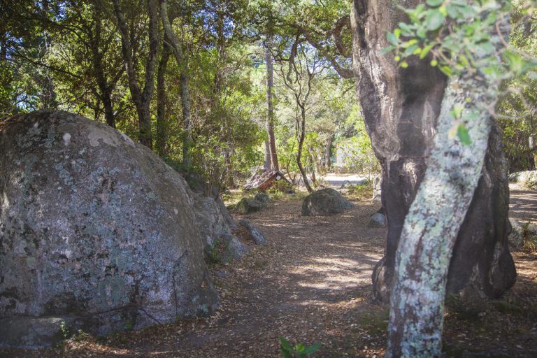 Camping Arutoli in Porto Vecchio op Corsica staanplaatsen 768x512