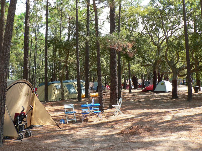 Camping Les Jardins du Golfe in Porto Vecchio op Corsica staanplaatsen 768x576
