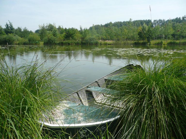 Camping du Vivier aux Carpes karper vissen 768x576