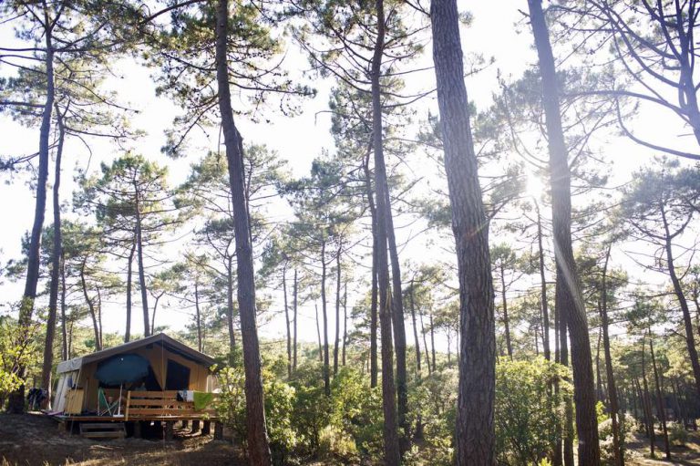 Camping Huttopia Lac de Carcans in Carcans Glamping in een bos 768x511