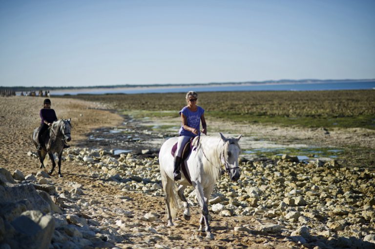 Camping Huttopia Oléron les Chênes Verts paardrijden 768x511