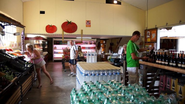 Camping De Peyroche boerenmarkt 768x432