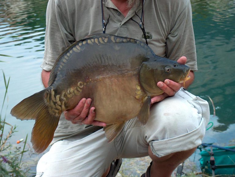 Camping Le Lac Bleu Drome karper vissen 768x579