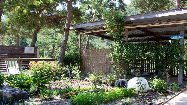 Camping River restaurant 768x432