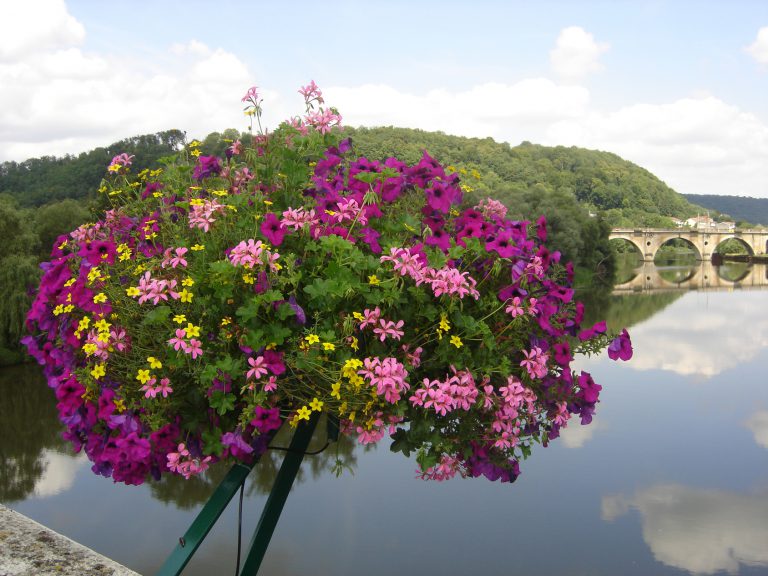 Camping de la Moselle Moezel 768x576