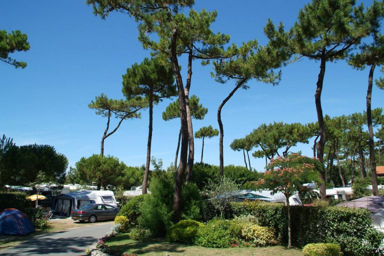 5 sterren Camping Bois Soleil staanplaats 768x512